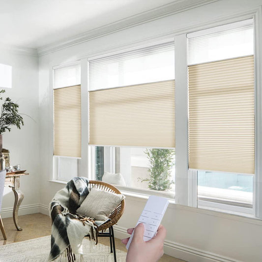 ZSHINE Motorized Day and Night Cellular Shades - ZSHINE - Smart Shining Your Life