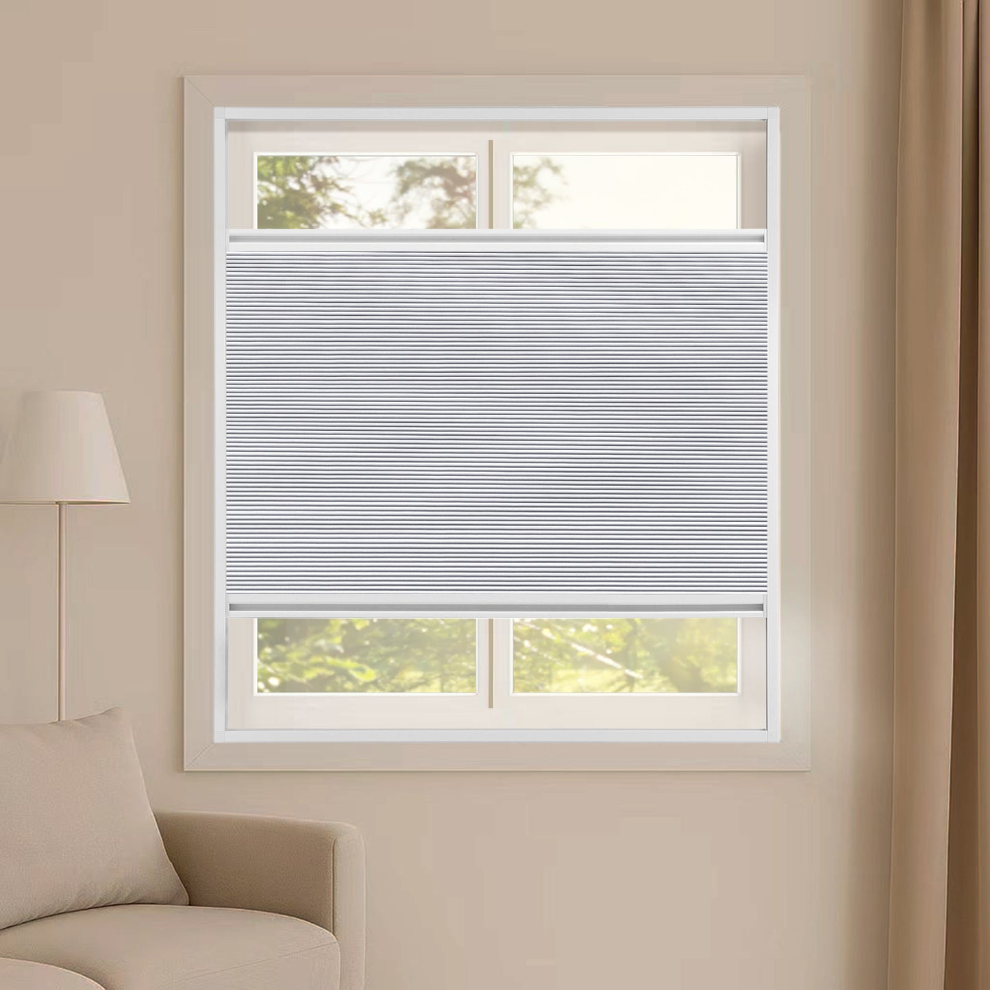 ZSHINE Cellular Shades Top Down Bottom Up Honeycomb