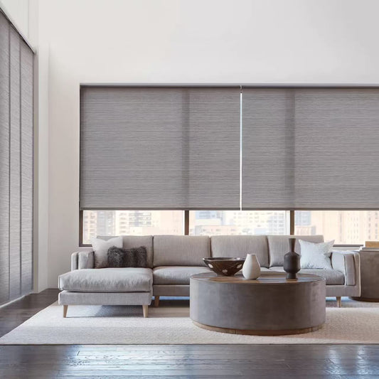 ZSHINE Motorized Light Filtering Roller Shades