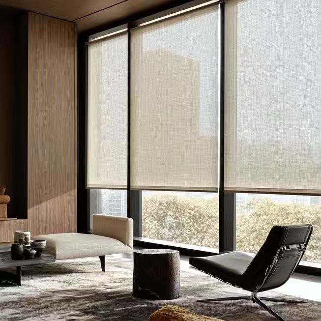 ZSHINE Motorized Solar Shades