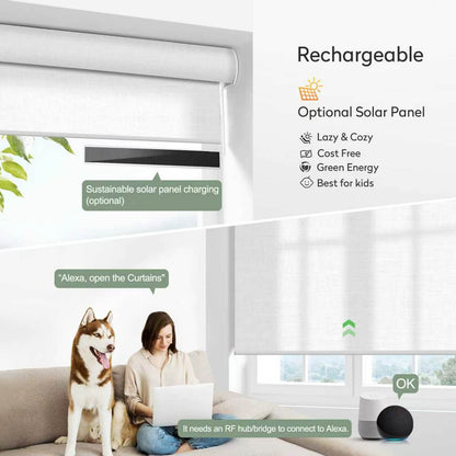 ZSHINE Motorized Light Filtering Roller Shades