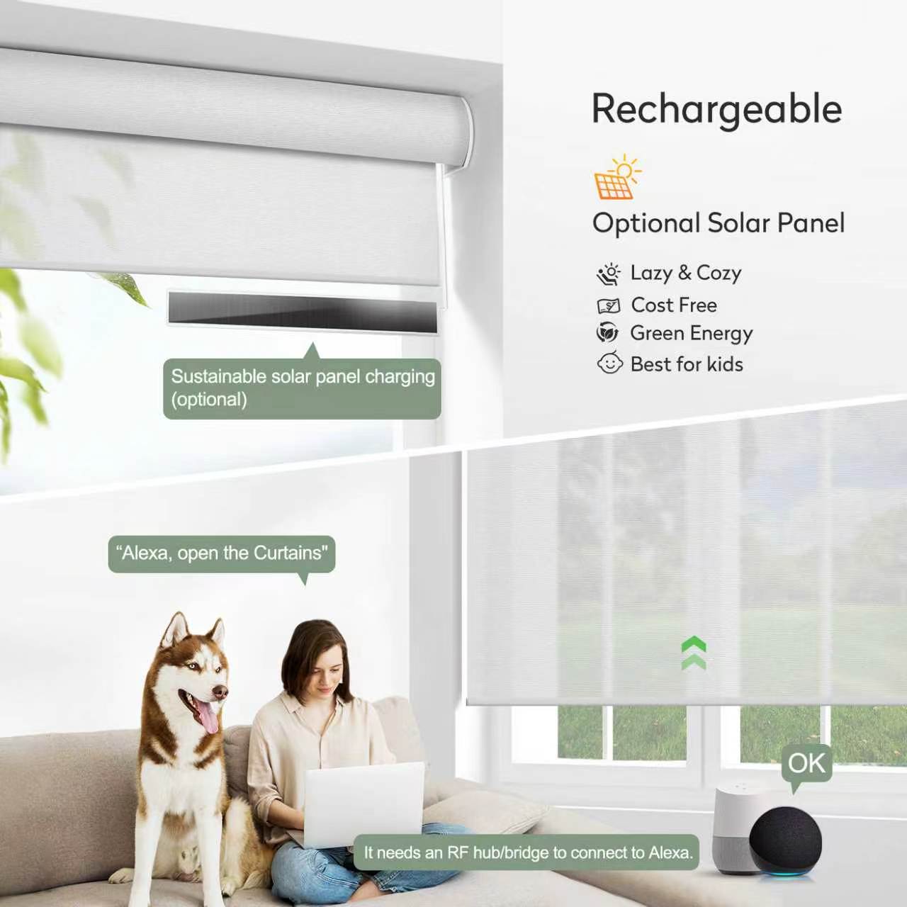 ZSHINE Motorized Solar Shades