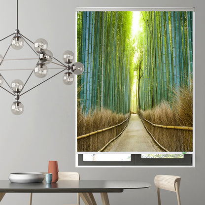 ZSHINE Motorized Printed Roller Shades